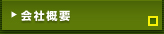 ЊTv